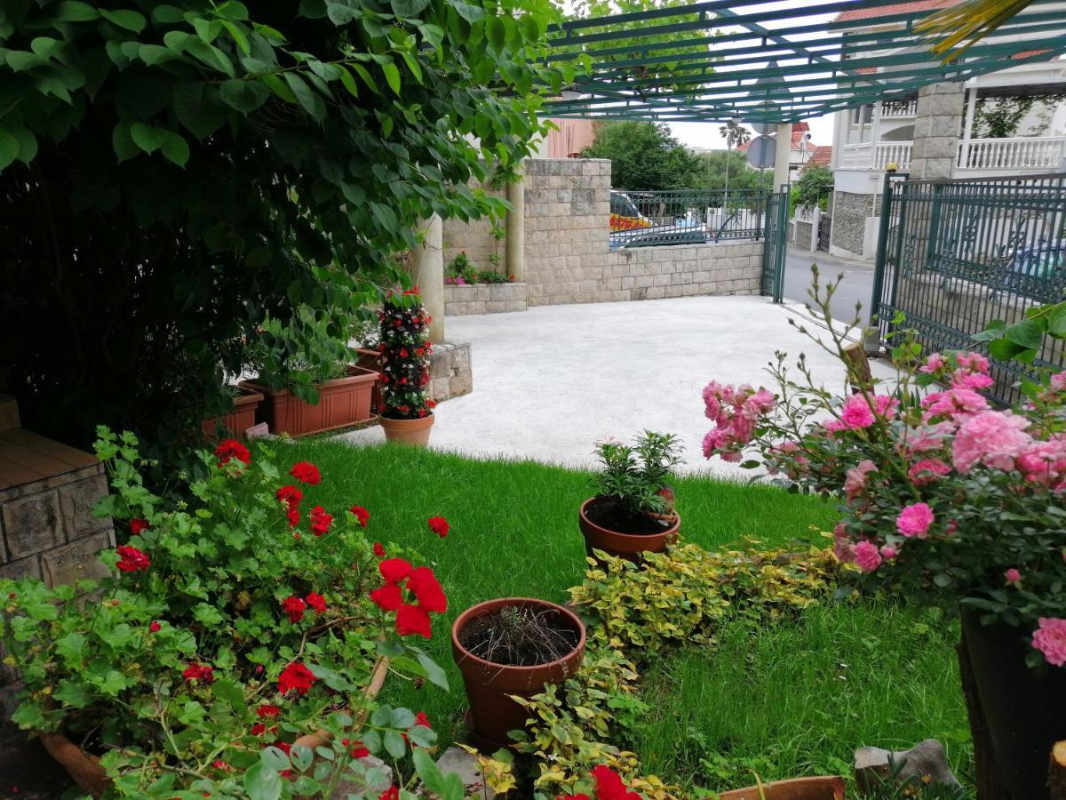 Flower * Budva